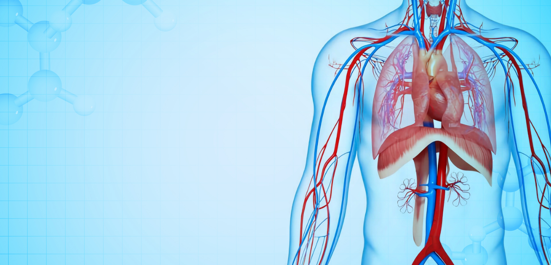 شركة نينغبو لينستانت لمواد البوليمر. المحدودة.