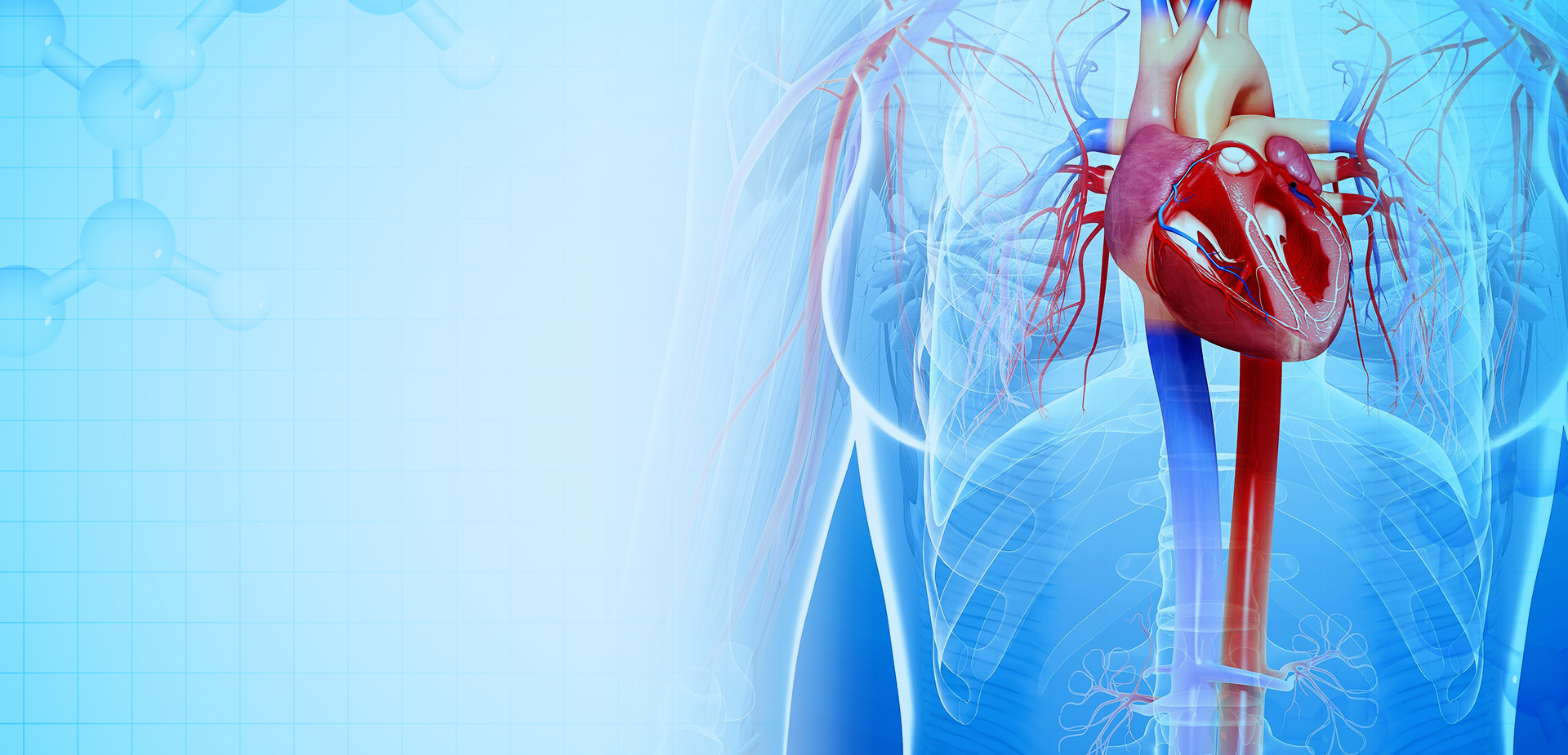 شركة نينغبو لينستانت لمواد البوليمر. المحدودة.