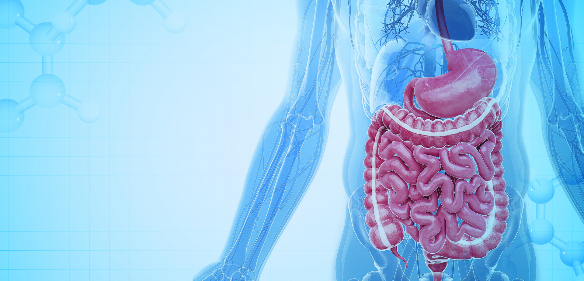 شركة نينغبو لينستانت لمواد البوليمر. المحدودة.