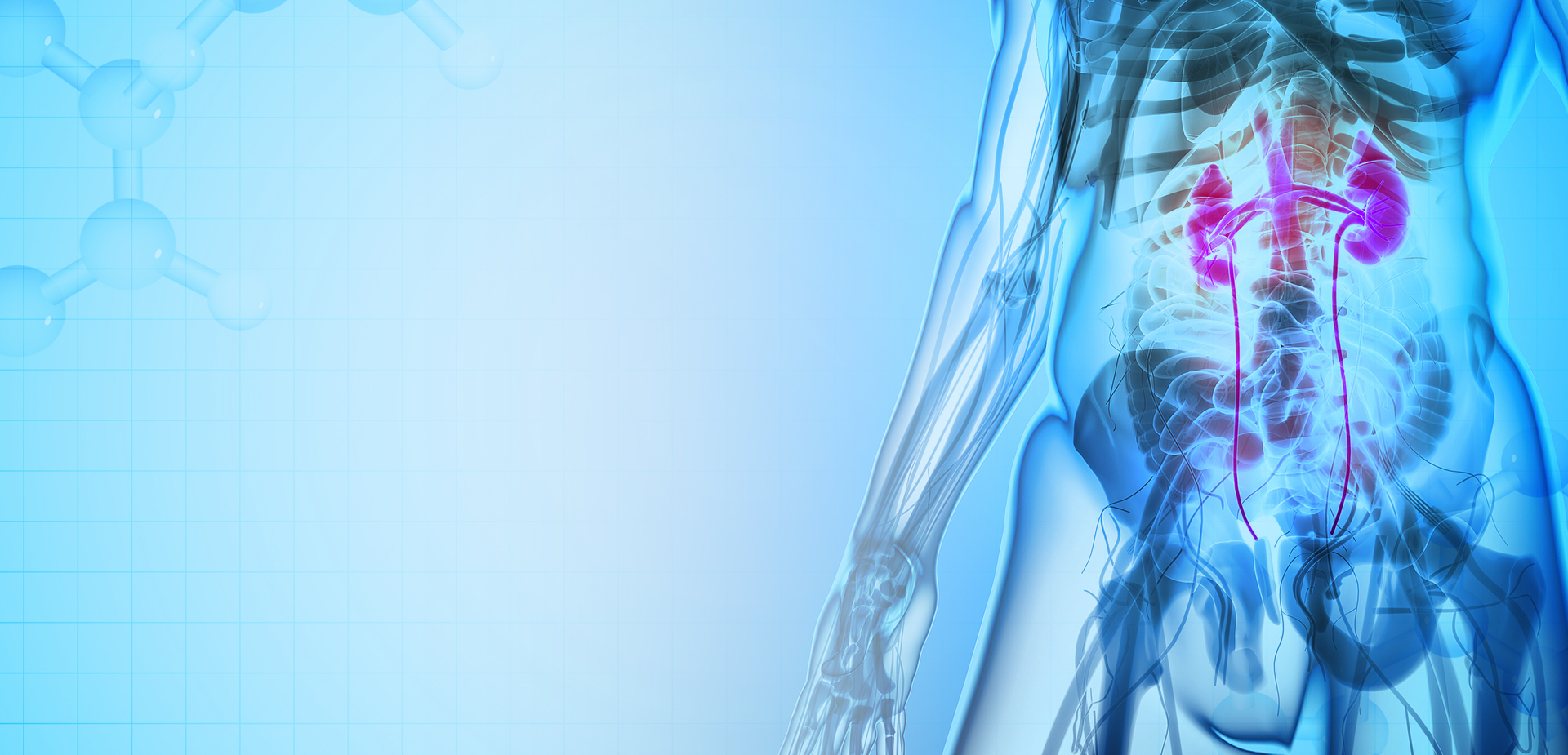 شركة نينغبو لينستانت لمواد البوليمر. المحدودة.