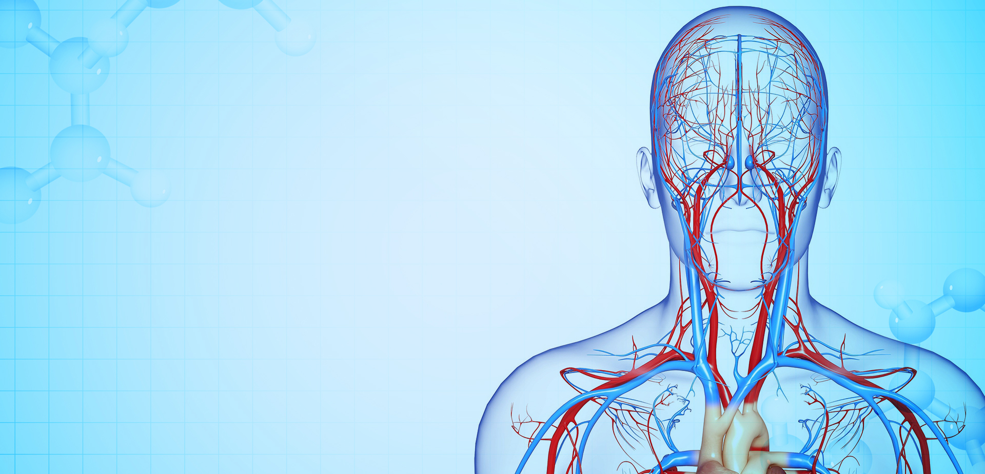 شركة نينغبو لينستانت لمواد البوليمر. المحدودة.